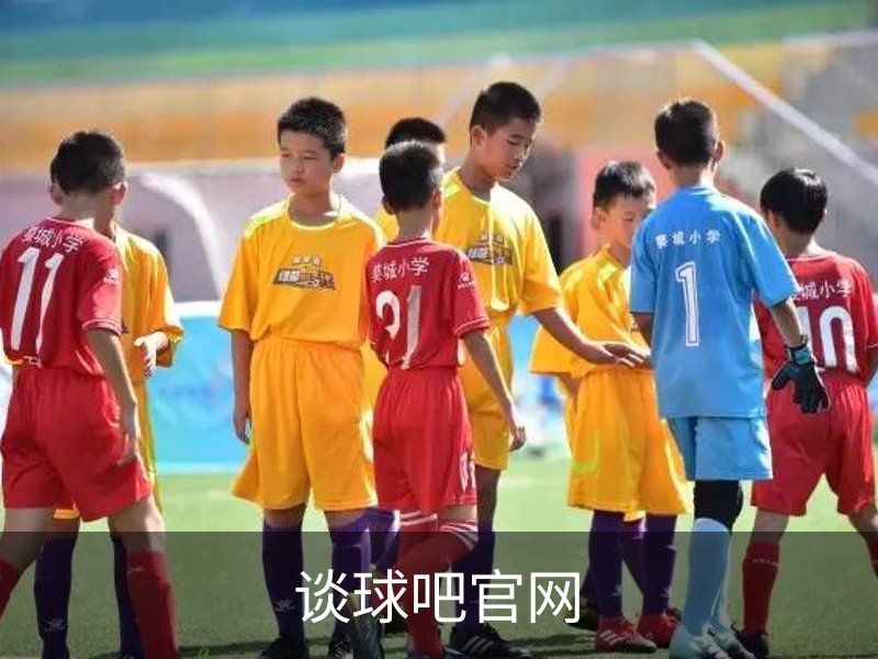 谈球吧官网品牌故事